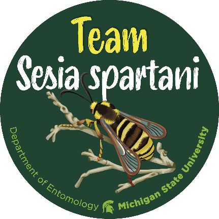 Team sesia spartani.png